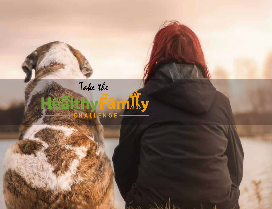 What is the Healthy Family Challenge